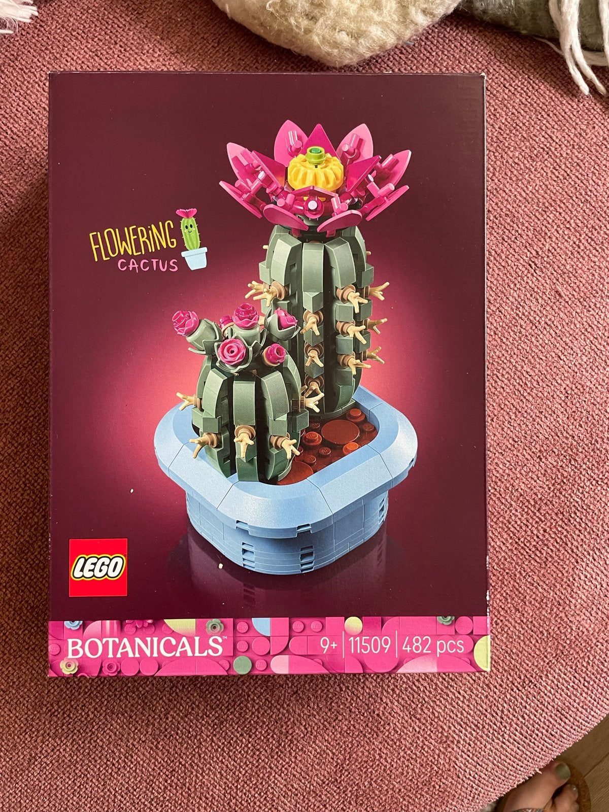 LEGO Botanicals Bloeiende Cactus (11509), Ophalen of Verzenden, Zo goed als nieuw, Overige merken