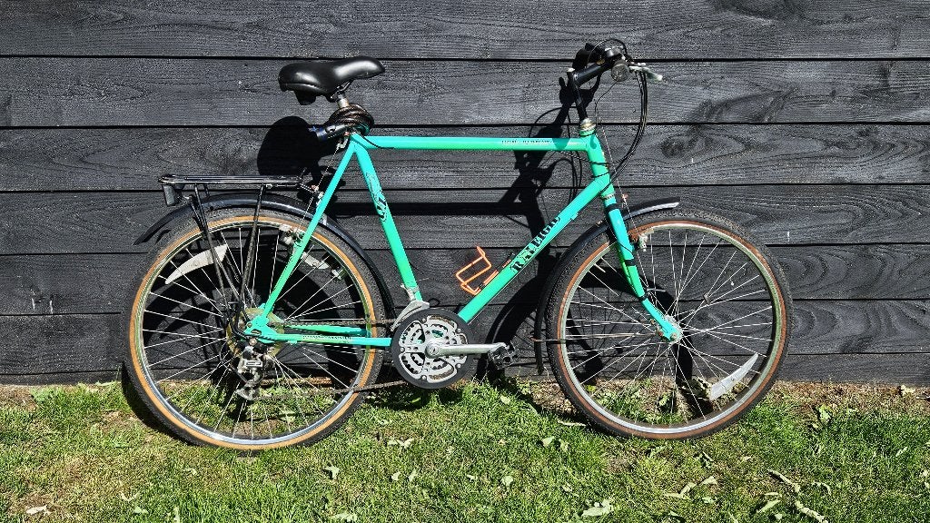 Raleigh lizard allterrain mountainbike, Fietsen en Brommers, Ophalen, Gebruikt, Heren, Overige merken