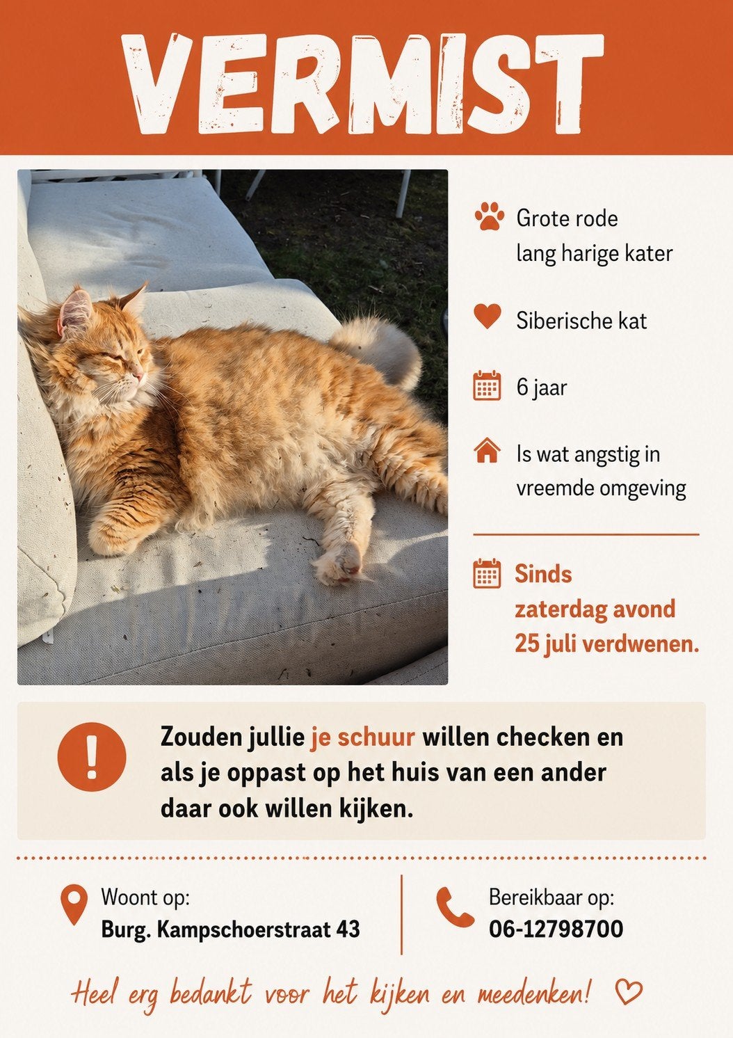 Vermist Ober Siberische kat rood, Kat