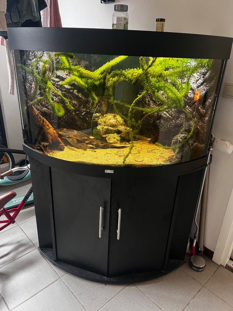 Aquarium, Dieren en Toebehoren, Vissen | Aquaria en Toebehoren, Gebruikt, Gevuld zoetwateraquarium, Inclusief controller, Inclusief deksel