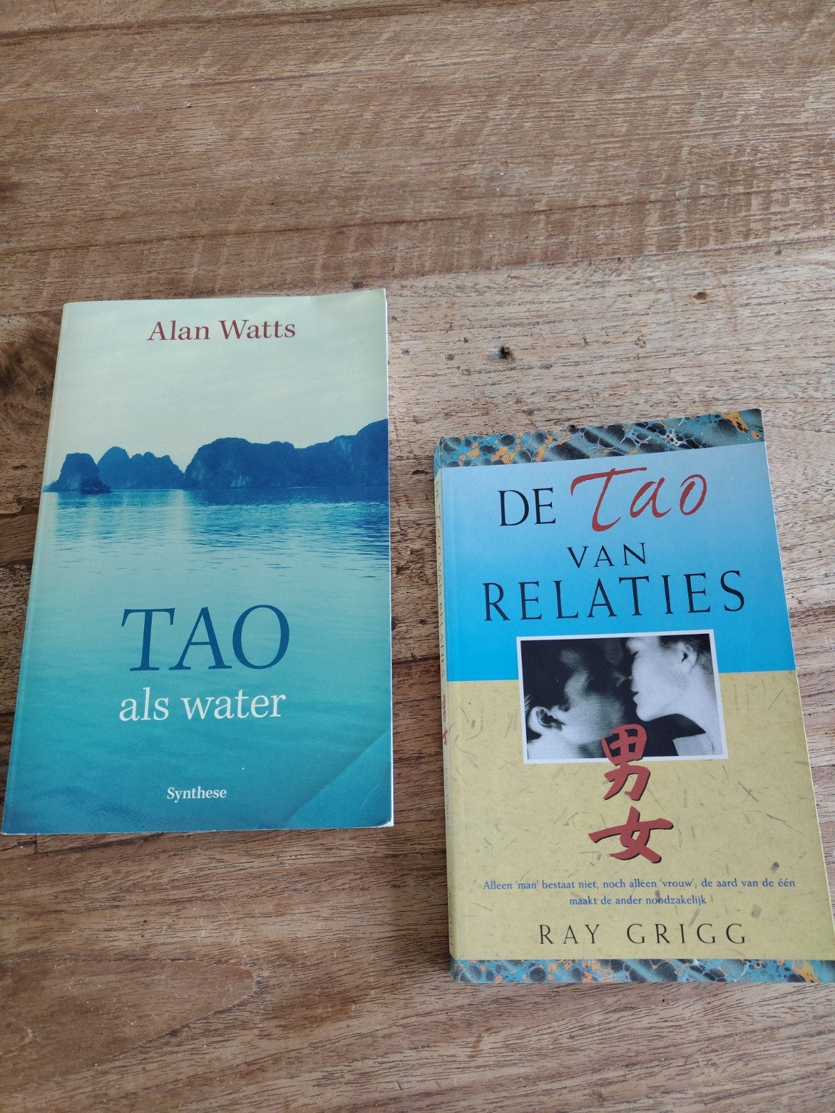 Tao als water-Alan Watts & De Tao van relaties- Ray Grigg, Ophalen of Verzenden, Zo goed als nieuw, Spiritualiteit algemeen, Achtergrond en Informatie