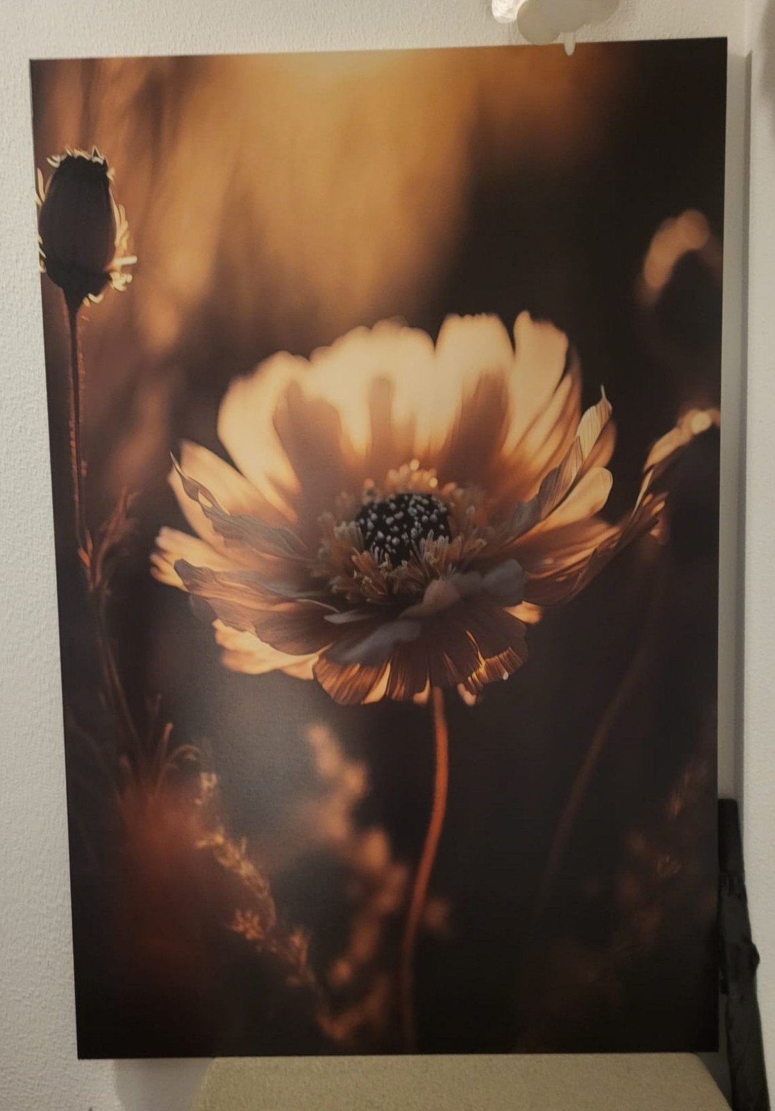 Schilderij "Flower in the morning sun", Ophalen of Verzenden