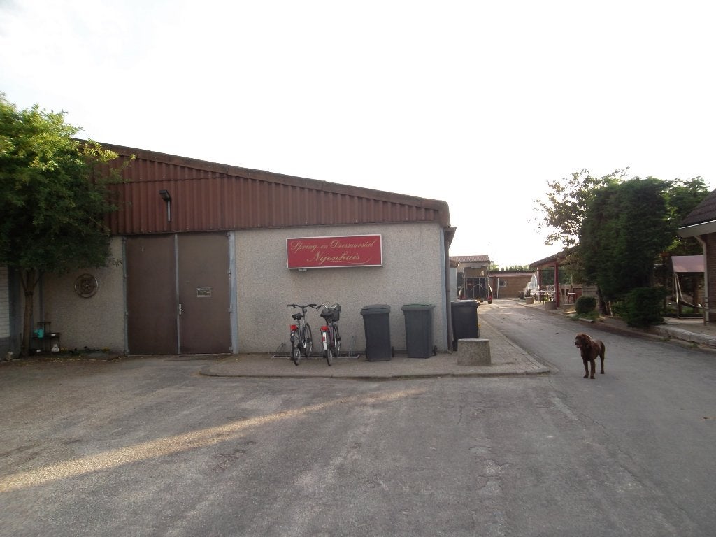 We hebben vanaf 1 juli 2026 een box beschikbaar in Noordwijk, Stalling, 1 paard of pony