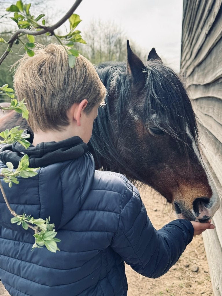 Re-connect met paardjes, Overige