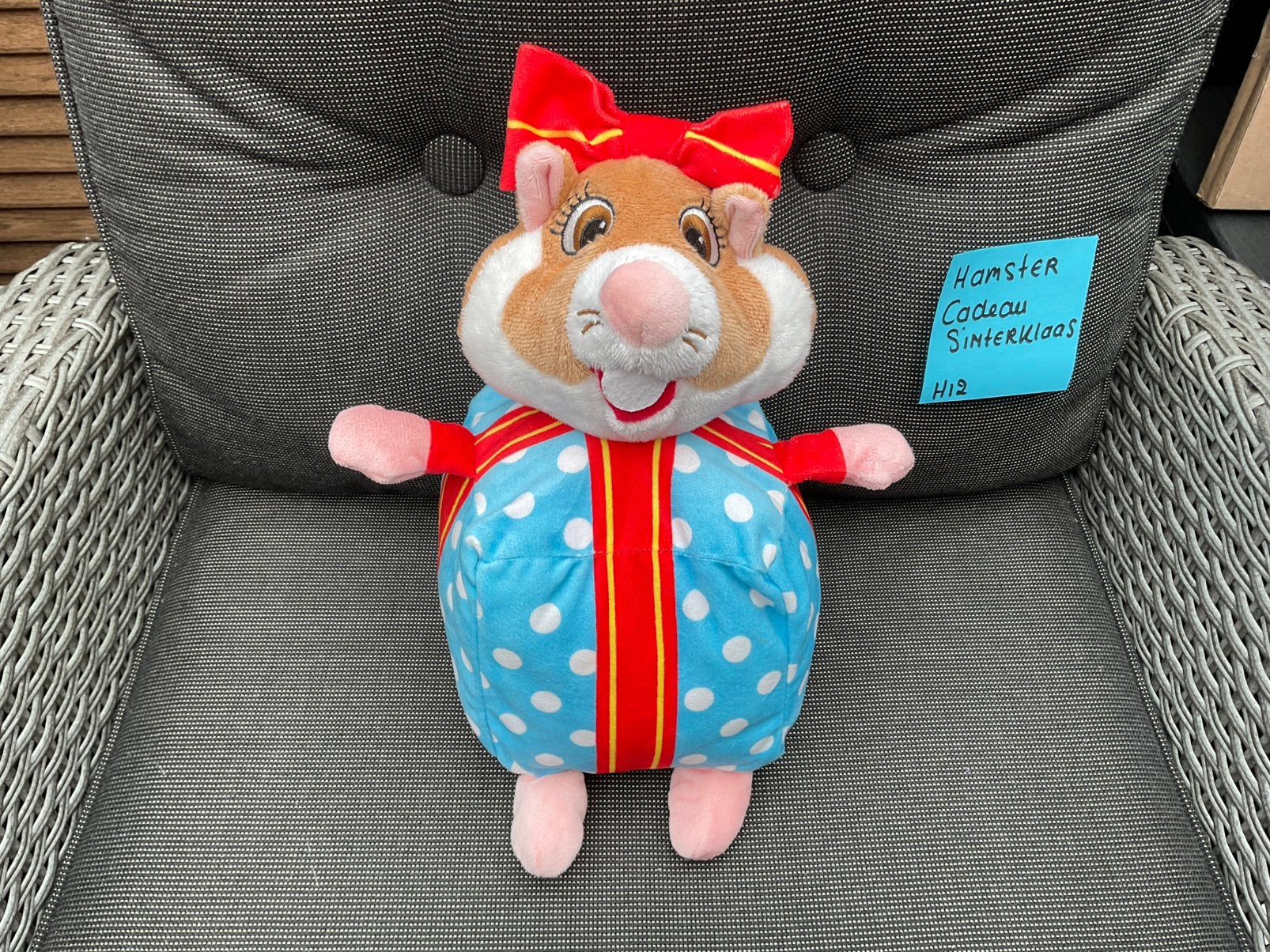 Nieuwe zgan Sinterklaas cadeau hamster Albert Heijn, Albert Heijn, Ophalen