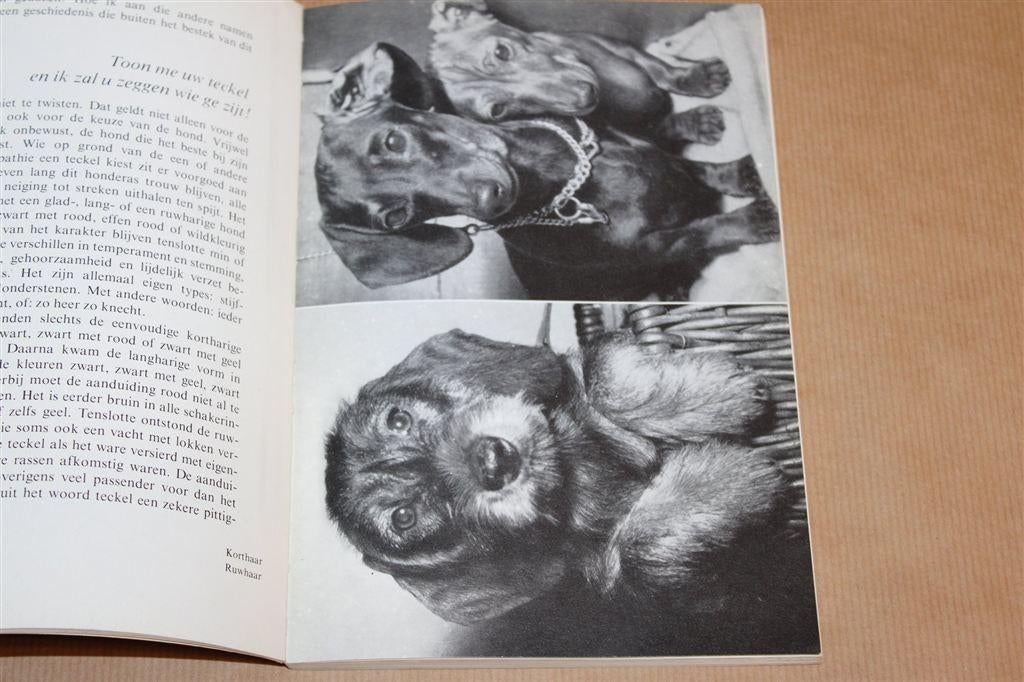 Mijn Vriend, de Teckel — Levensbeschrijving [Zeldzaam], Boeken, Ophalen of Verzenden, Gelezen, Honden