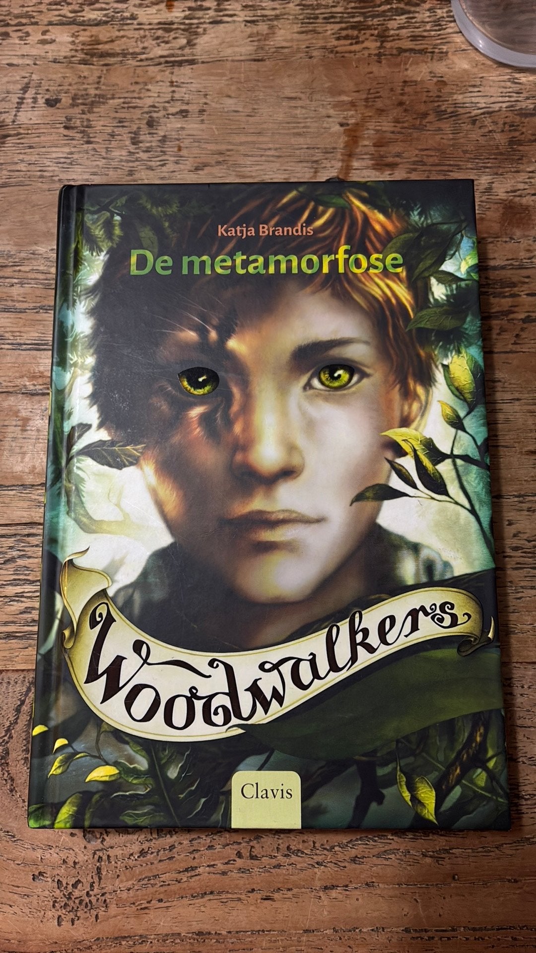 Katja Brandis - De metamorfose, Boeken, Ophalen of Verzenden, Zo goed als nieuw, Katja Brandis