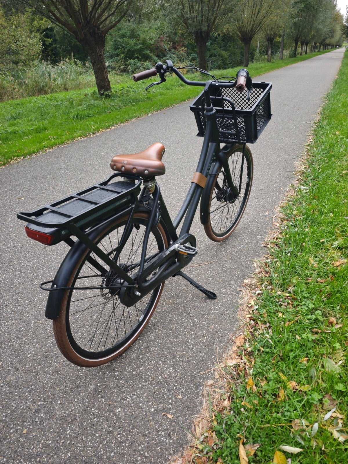 Stella Dolce elektrische fiets uit 2020, Ophalen of Verzenden, Zo goed als nieuw, Overige merken