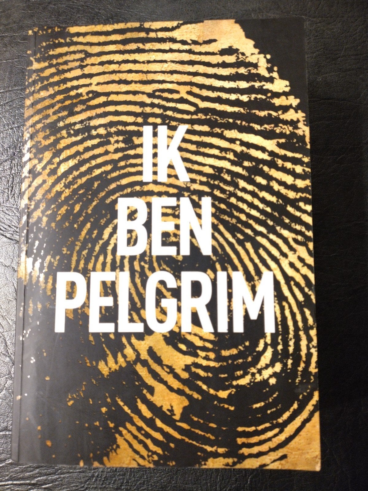 Ik Ben Pilgrim - Terry Hayes (Thriller), Ophalen of Verzenden, Zo goed als nieuw, Terry Hayes, Nederland