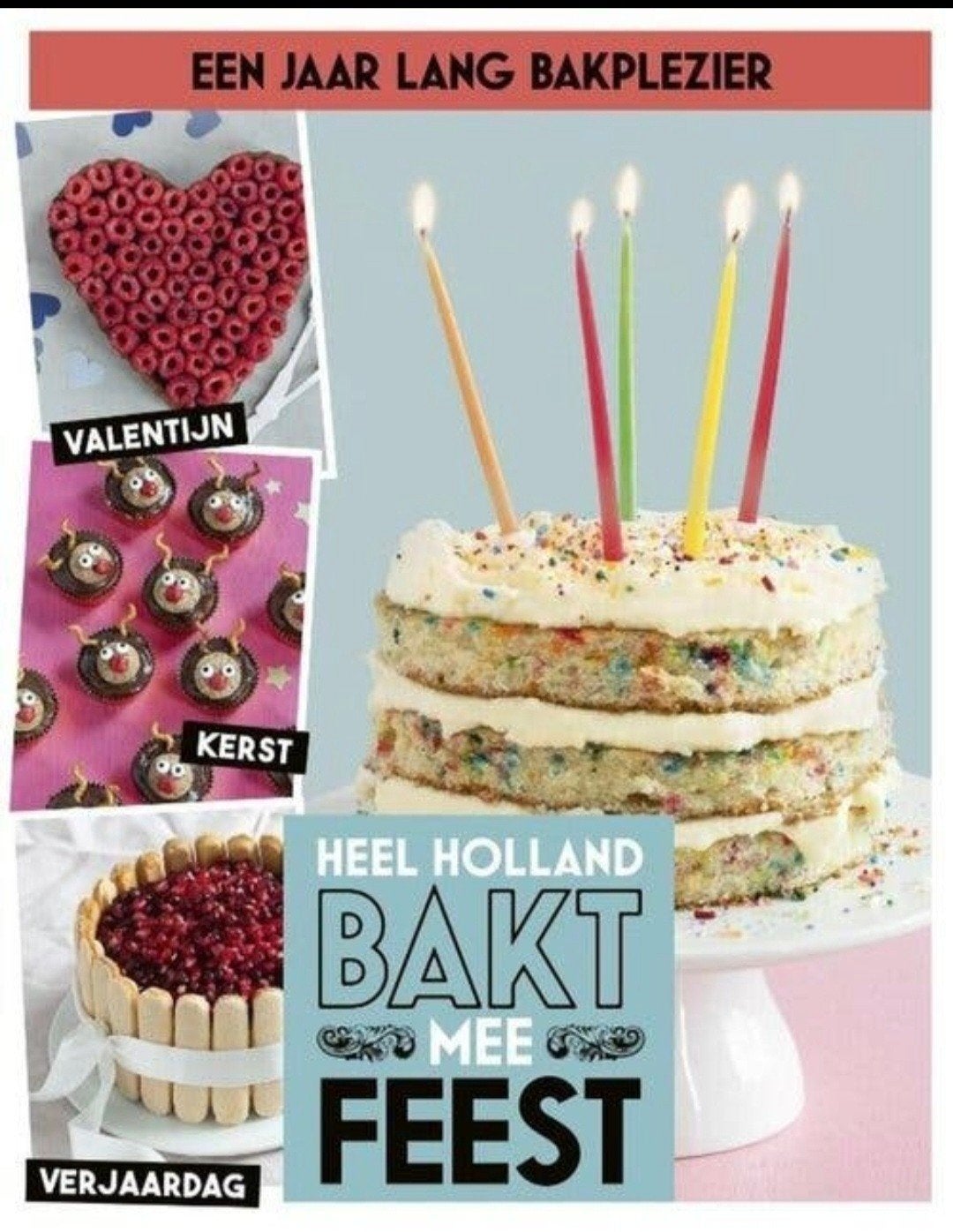 een jaar lang Bakplezier - Heel Holland Bakt Mee Feest

Alti, Boeken, Verzenden, Zo goed als nieuw, Nederland en België