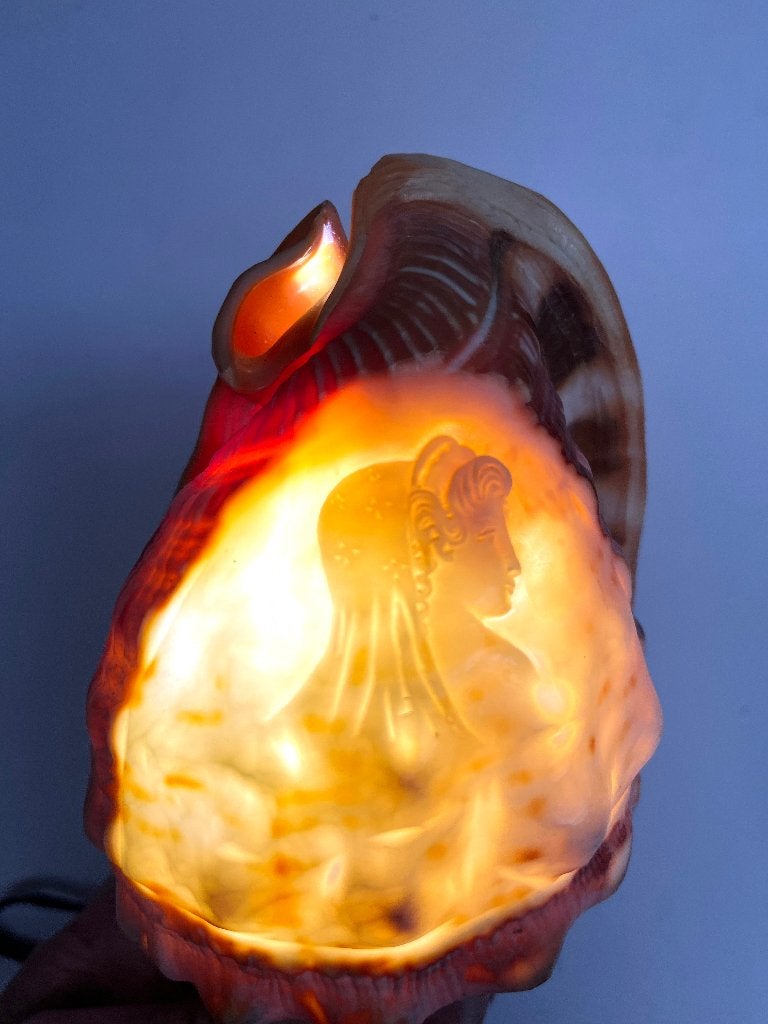 Cameo Carved Conch Shell Cassis Schelp lamp, Ophalen of Verzenden