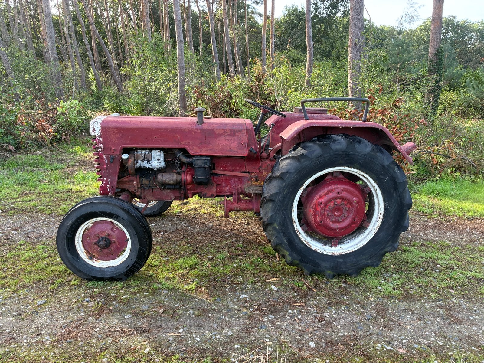 McCormick Farmall D430, Meerdere dieren, Kip