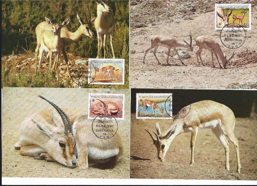 Libie wwf wnf 4 maxikaarten Gazelle bedreigde diersoorten, Postzegels en Munten, Postzegels | Eerstedagenveloppen, Ophalen of Verzenden