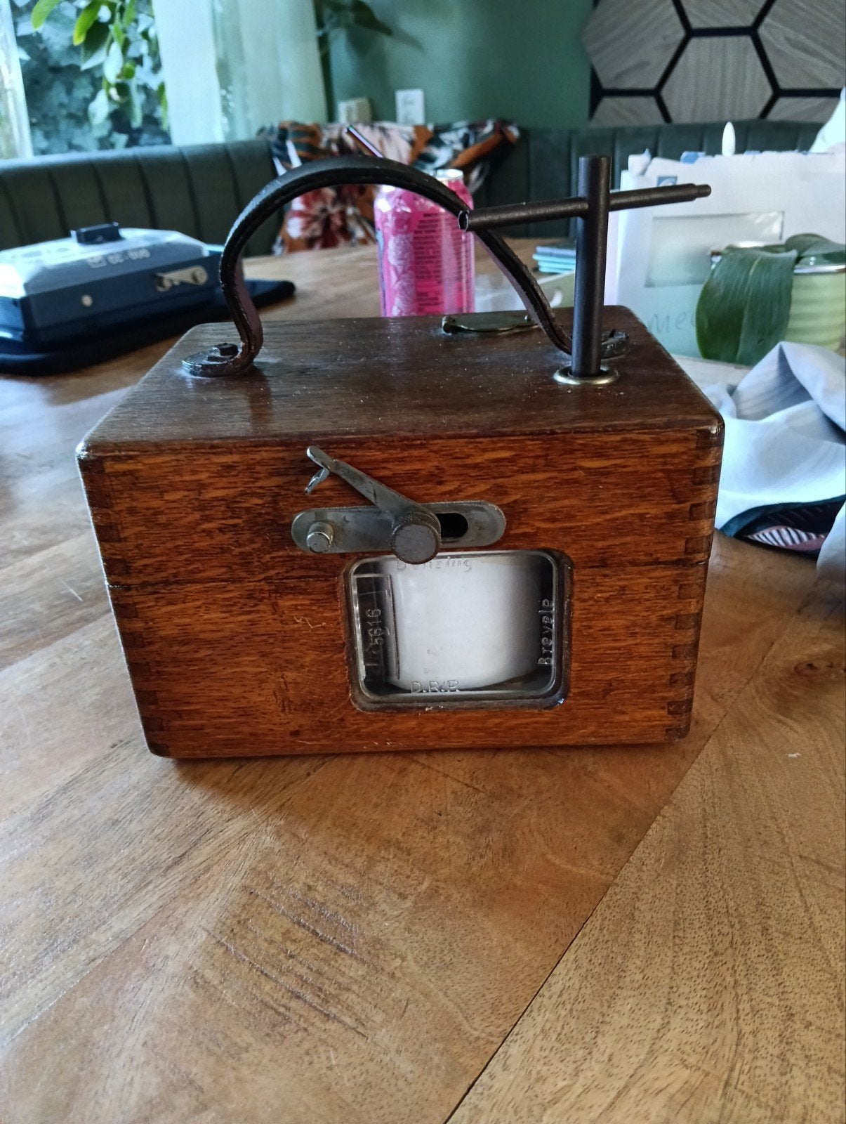 antieke duivenklok, Mannelijk, Postduif