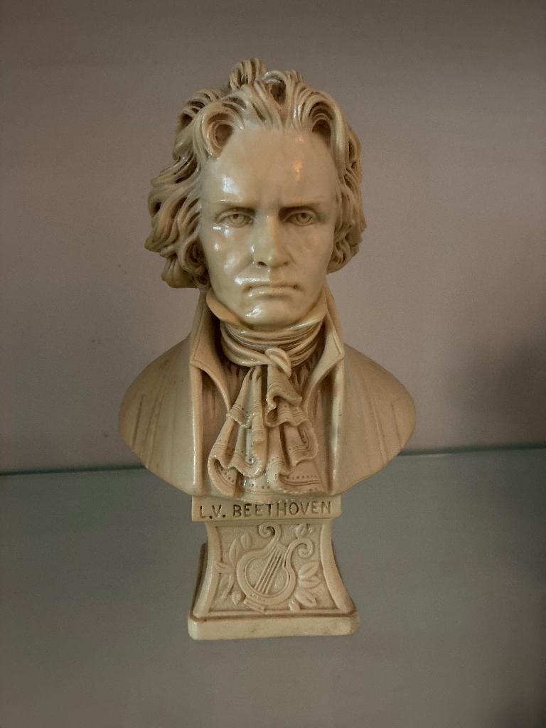 Borstbeeld L. v. Beethoven, Ophalen of Verzenden, Zo goed als nieuw, Mens