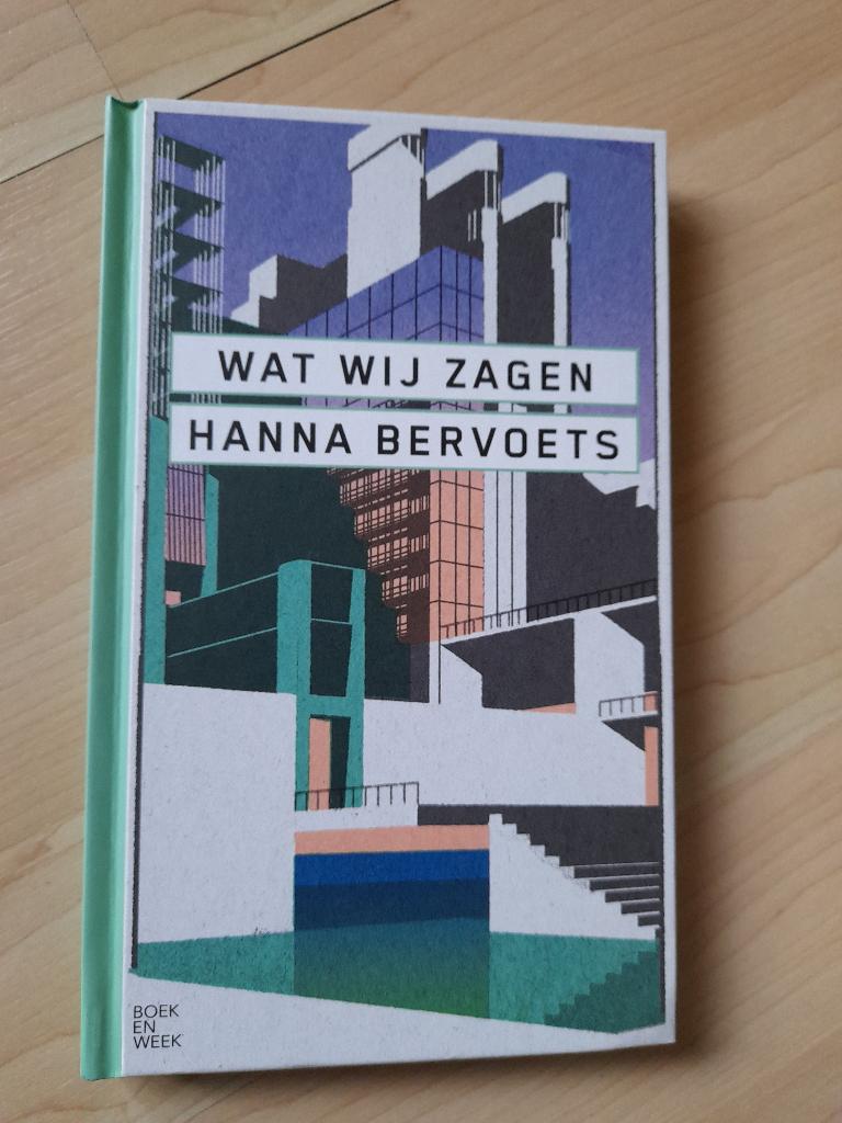 WAT WIJ ZAGEN    Hanna Bervoets, Boeken, Ophalen of Verzenden, Gelezen