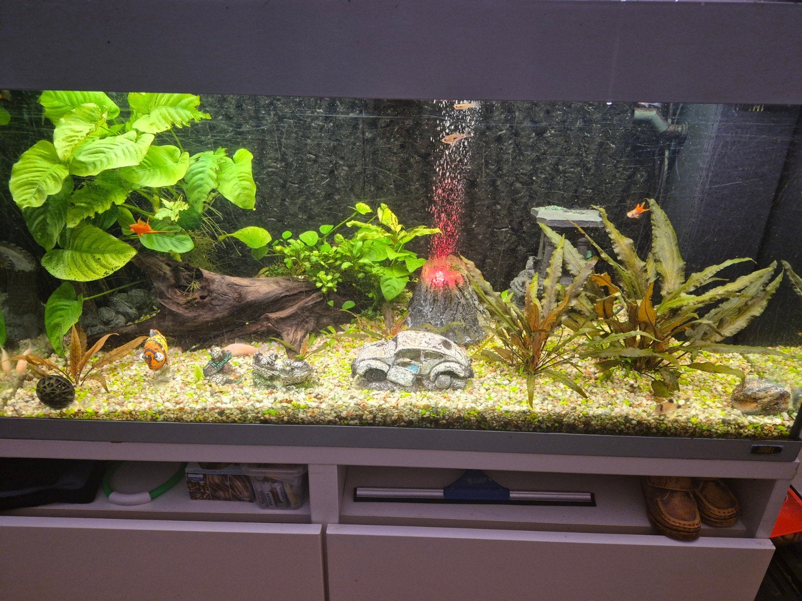 aquarium 200 liter+ 30 vissen+ toebehoren, Dieren en Toebehoren, Ophalen, Zo goed als nieuw, Gevuld zoetwateraquarium, Juwel