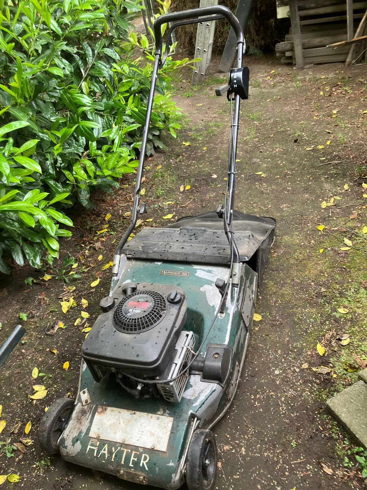 Hayter Benzine Grasmaaier - Gebruikt opknapper, Tuin en Terras, Grasmaaiers, Ophalen, Cirkelmaaier, Gebruikt, Opvangbak
