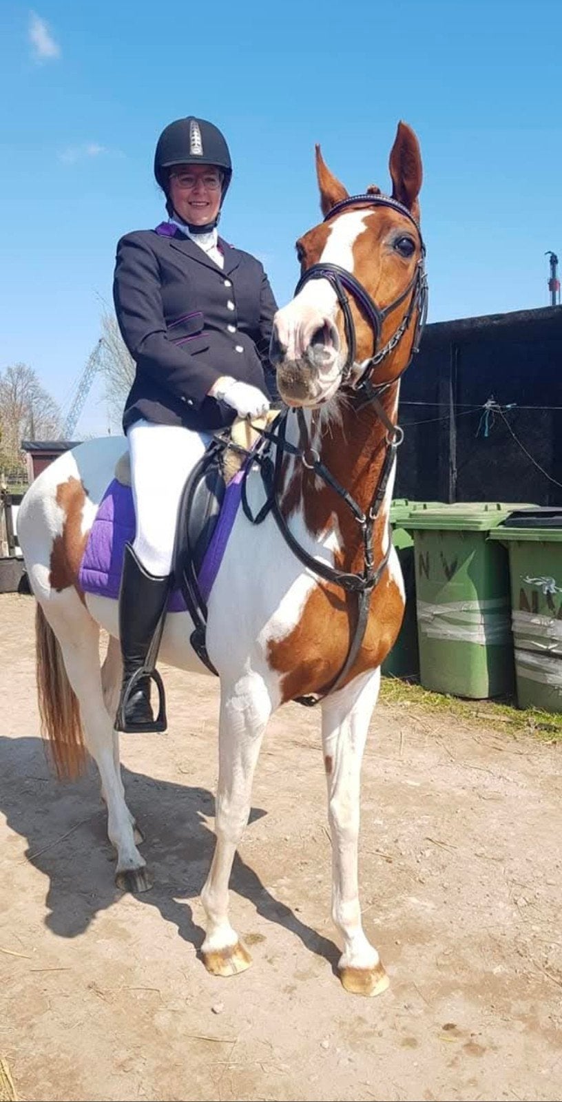 recreatie pony/ weidemaatje, Merrie, 11 jaar of ouder