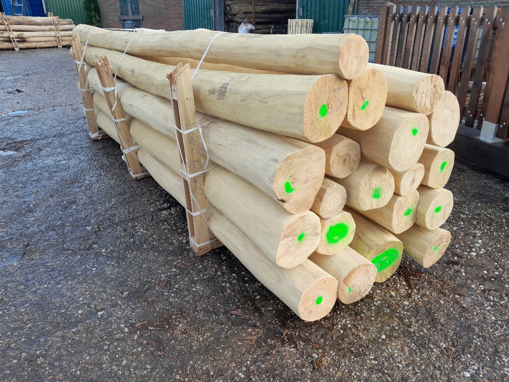 Spintvrij geschuurde robinia, schommelpalen 3 mtr 12/14 dik, Ophalen, Nieuw, 250 cm of meer, Palen