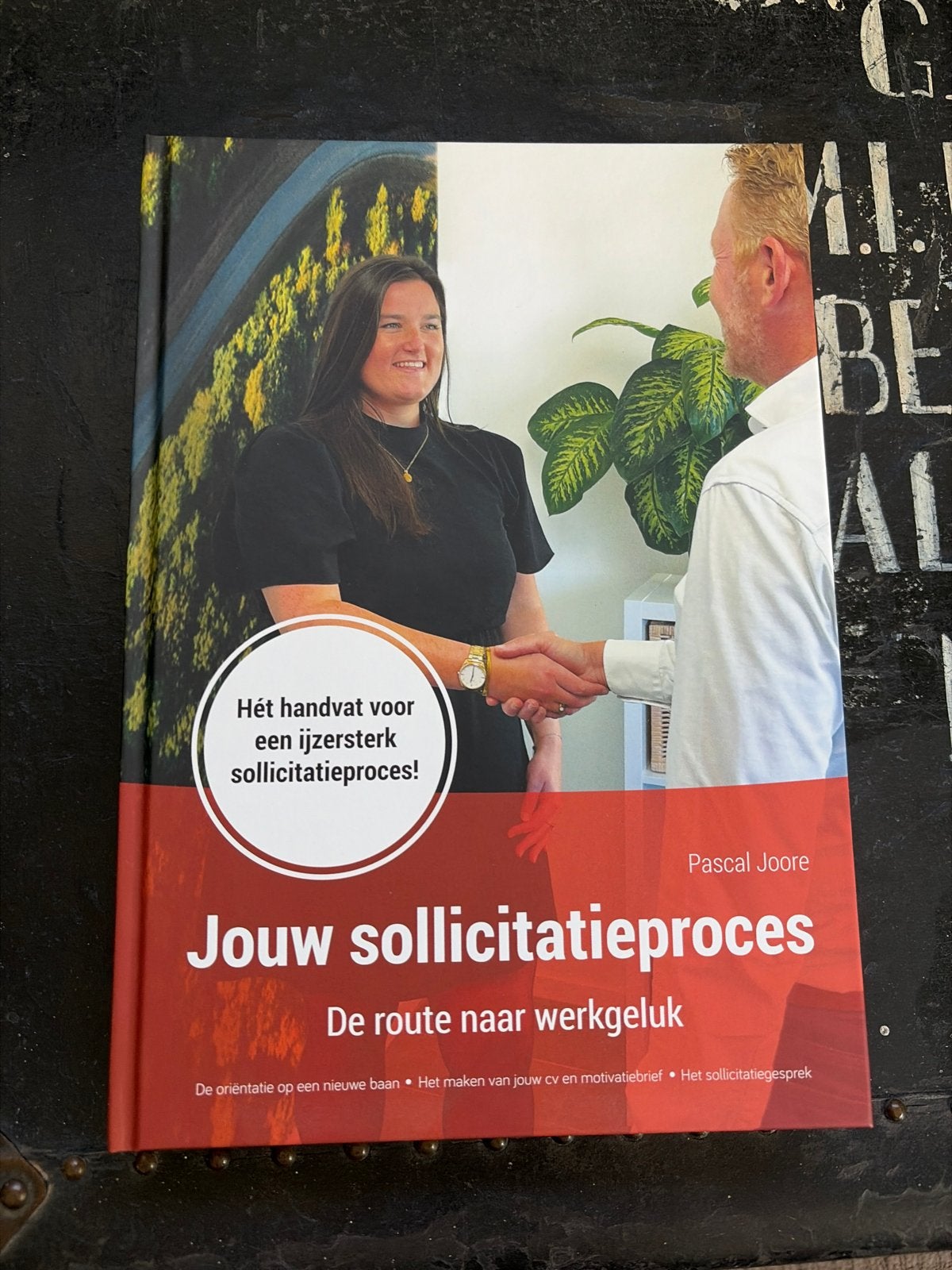 Jouw sollicitatieproces: De route naar werkgeluk - Pascal Jo, Ophalen of Verzenden, Nieuw