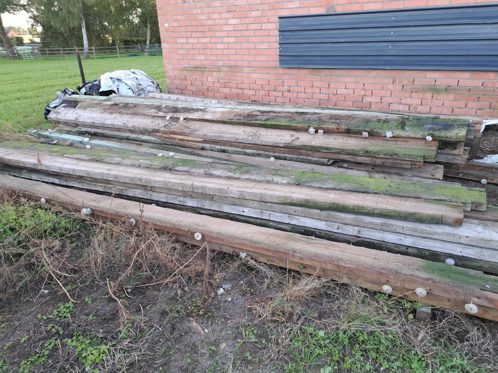 Houten Bruggen 5m, Gebruikt, 25 tot 50 mm, Grenen, 300 cm of meer
