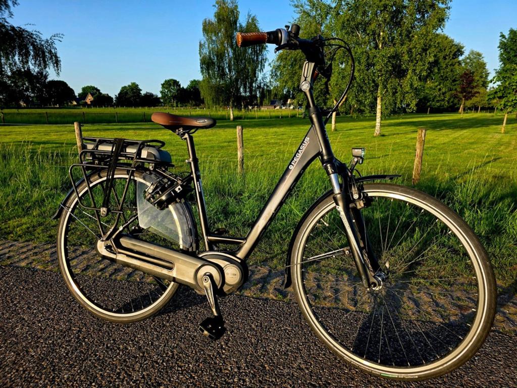 Fijne sets Stella, Flyer en Gazelle vanaf € 695 per ebike, Fietsen en Brommers, Elektrische fietsen, Overige merken, Ophalen of Verzenden