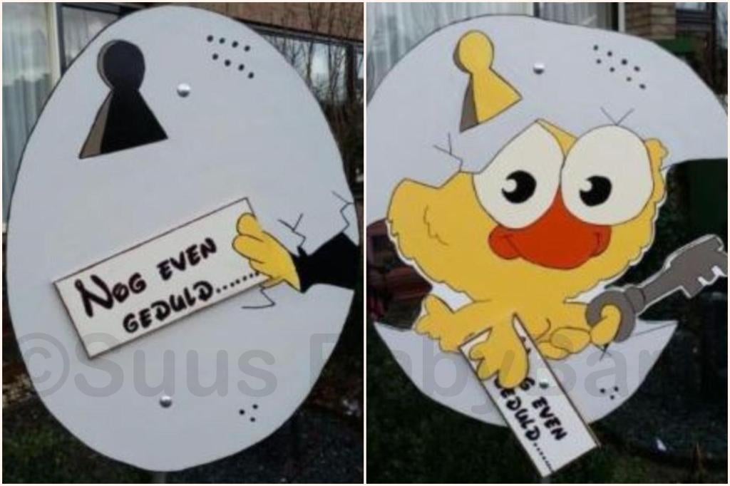 Super leuk Geboortebord van Kuikentje uit het Ei., Kinderen en Baby's, Kraamcadeaus en Geboorteborden, Ophalen of Verzenden, Zo goed als nieuw
