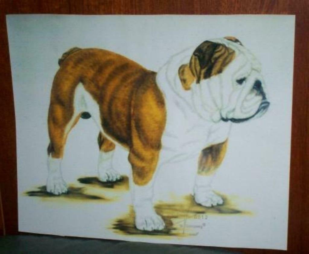 engelse bulldoggen bulldog kaarten / prent m.gunneweg 1 koop, Ophalen, Gebruikt, Hond of Kat, Beeldje of Figuurtje