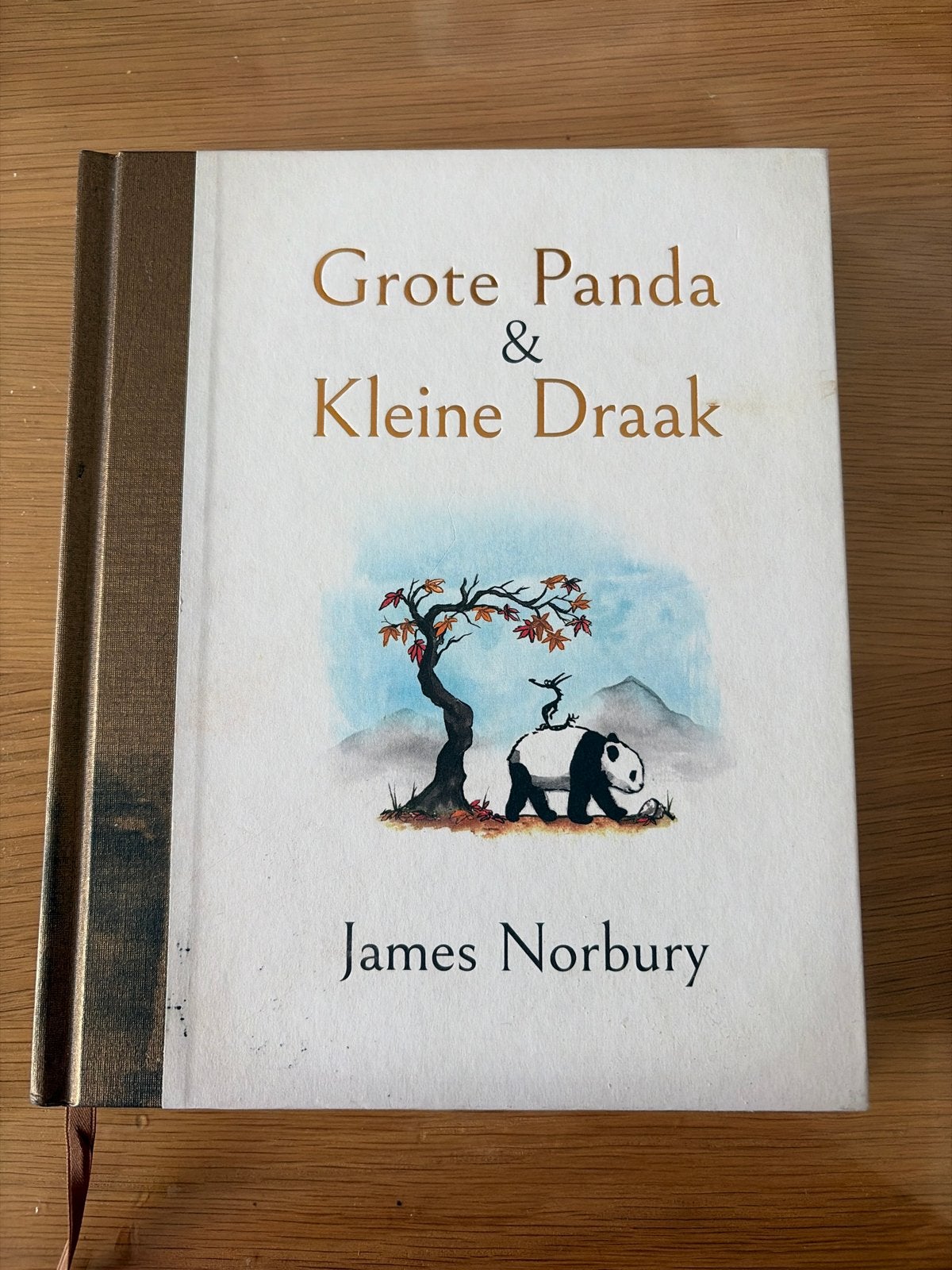 Nieuw: Grote Panda & Kleine Draak - James Norbury, Boeken, Ophalen of Verzenden, Nieuw, Nederland