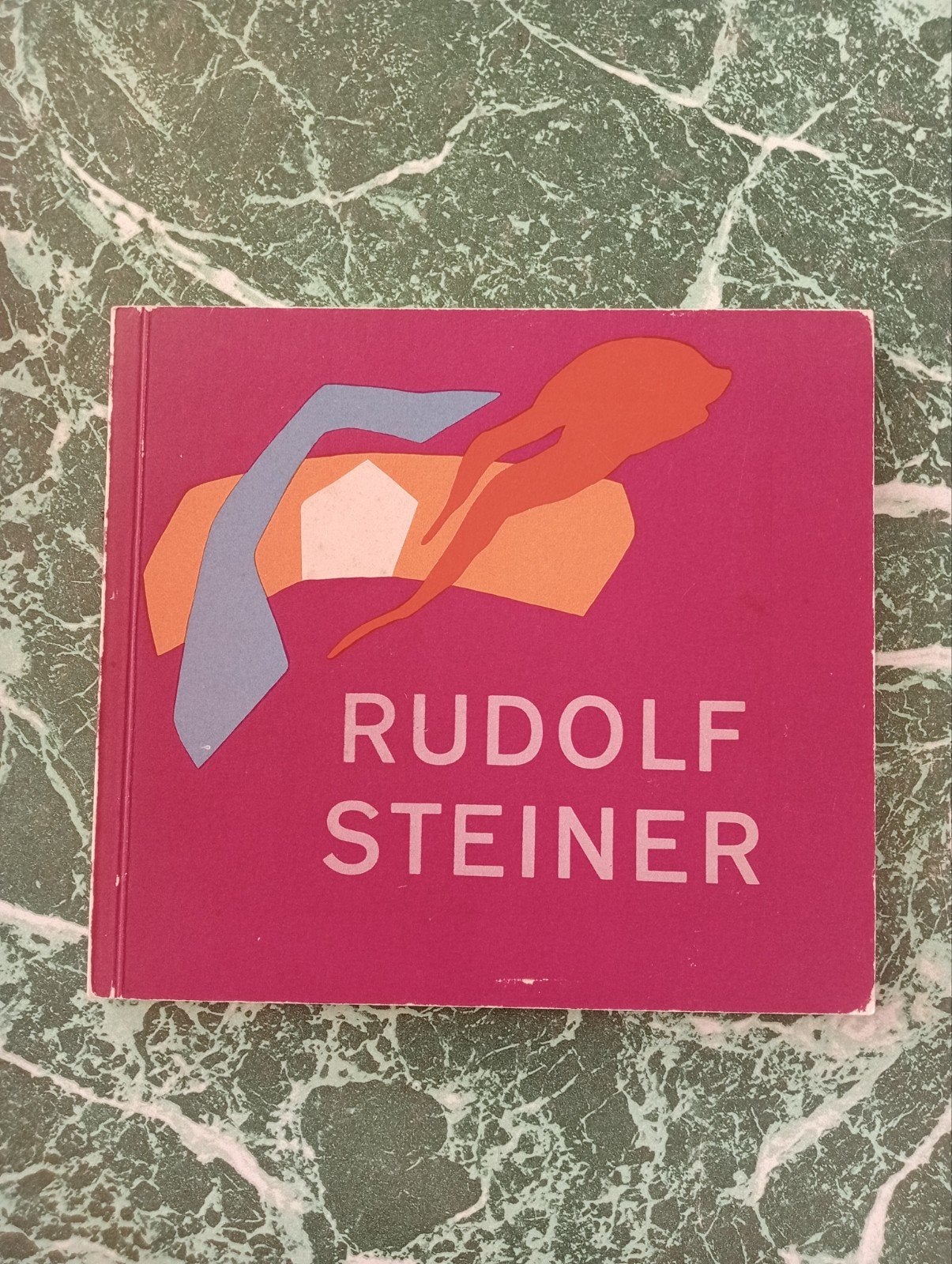 Rudolf Steiner - o.a Architectuur foto's, Boeken, Ophalen of Verzenden, Gelezen, Architectuur algemeen, Rudolf Steiner
