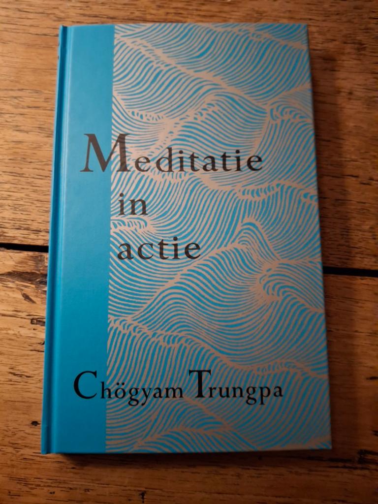 Trungpa - Meditatie in actie, Astrologie, Overige typen, Ophalen of Verzenden, Zo goed als nieuw