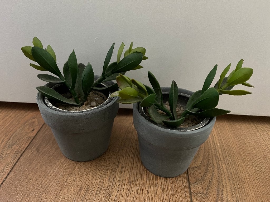 Set van 2 leuke kunstplantjes, Ophalen, Zo goed als nieuw