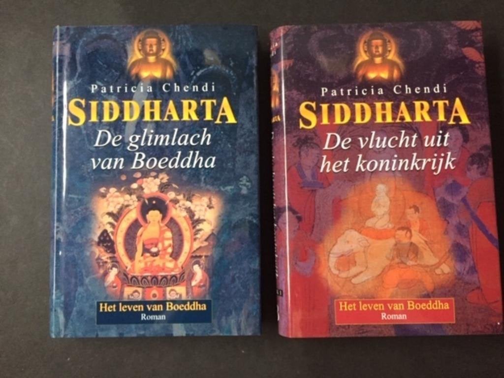 Siddharta glimlach van Boeddha en vlucht uit het koninkrijk., Boeken, Ophalen of Verzenden, Zo goed als nieuw