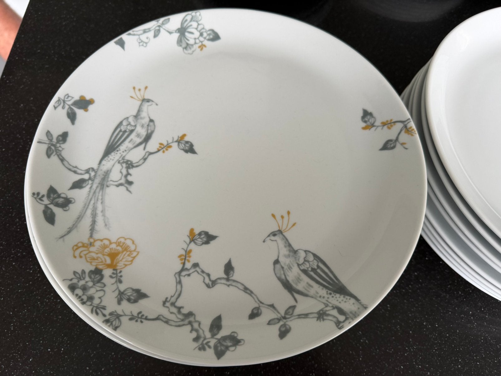 VIVO Villeroy & Boch (AH spaaractie van jaren geleden), Ophalen, Gebruikt, Vivo, Bord(en)