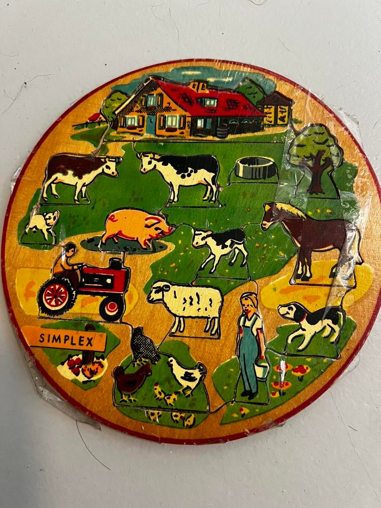 Houten legpuzzel, Kinderen en Baby's, Speelgoed | Houten speelgoed, Ophalen of Verzenden, Zo goed als nieuw