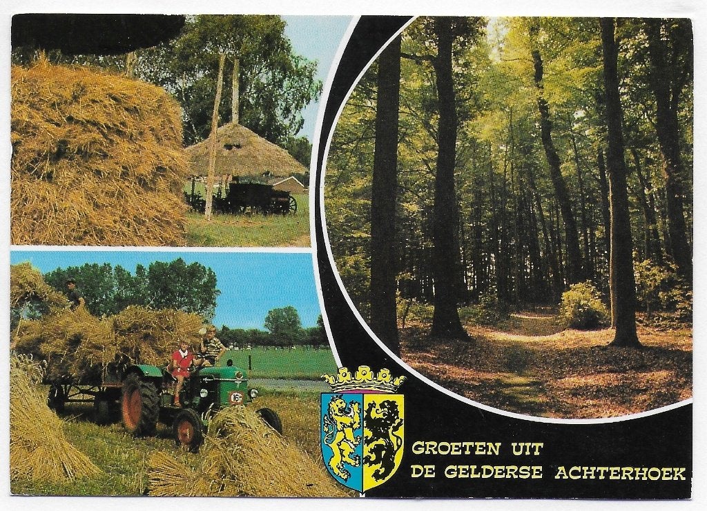 Gelderse Achterhoek gelopen Ansichtkaart (B2783 ), Ophalen of Verzenden, 1980 tot heden, Gelopen