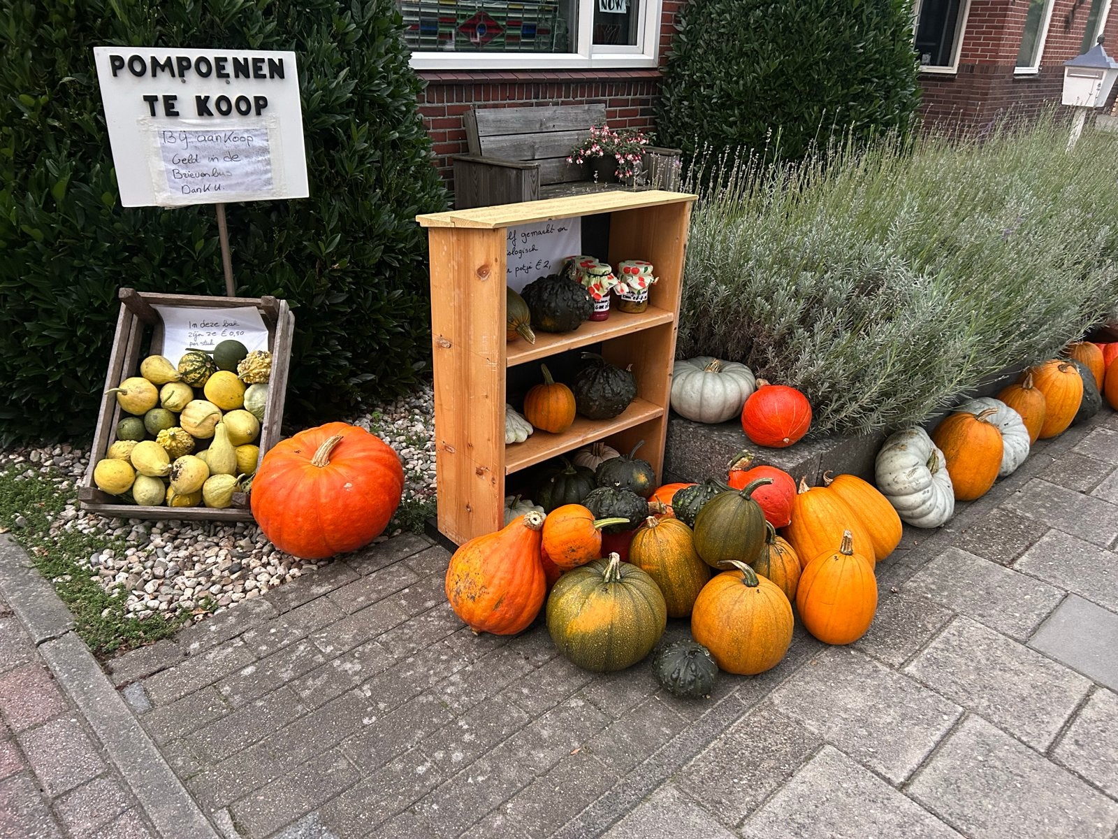 Pompoenen en kalebassen te koop - Diverse soorten, Ophalen of Verzenden