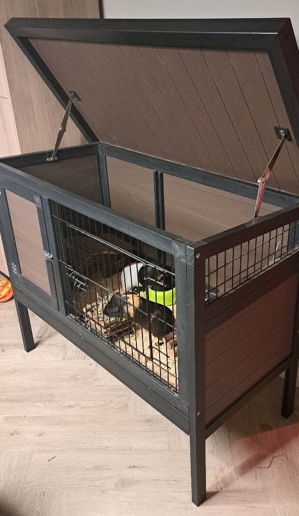 2 hele leuke, lieve, knappe cavia beertjes. Met 2 kooien enz, Cavia, Mannelijk, Januari, Tam