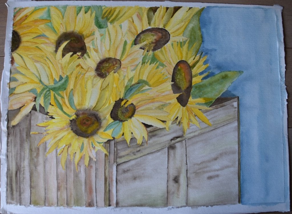 Zonnebloemen in houten kist - Aquarel op papier (52x72cm), Realistisch, Aquarel, Origineel werk, Papier