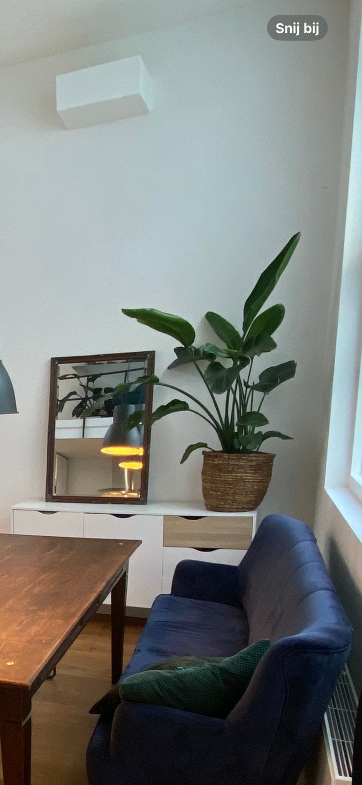 Grote rieten mand voor plant, Ophalen, Zo goed als nieuw, Rond, Riet