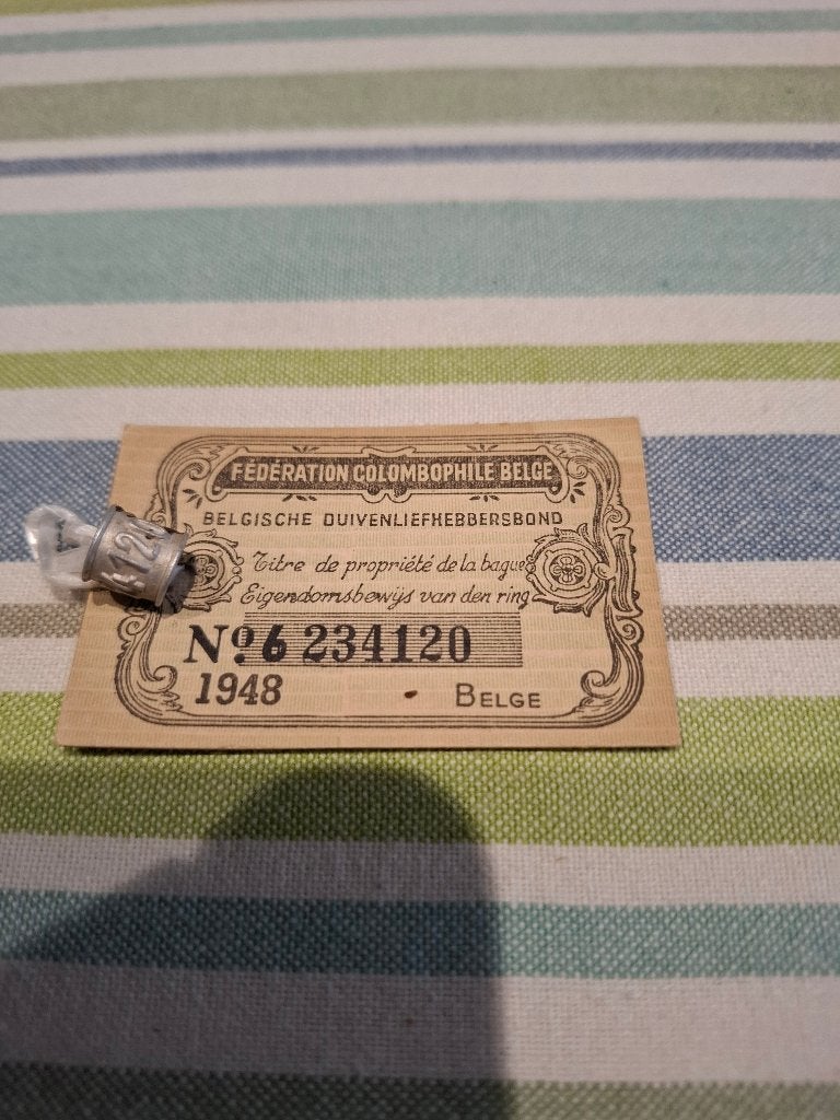 Ring 1948 belg, Mannelijk, Postduif