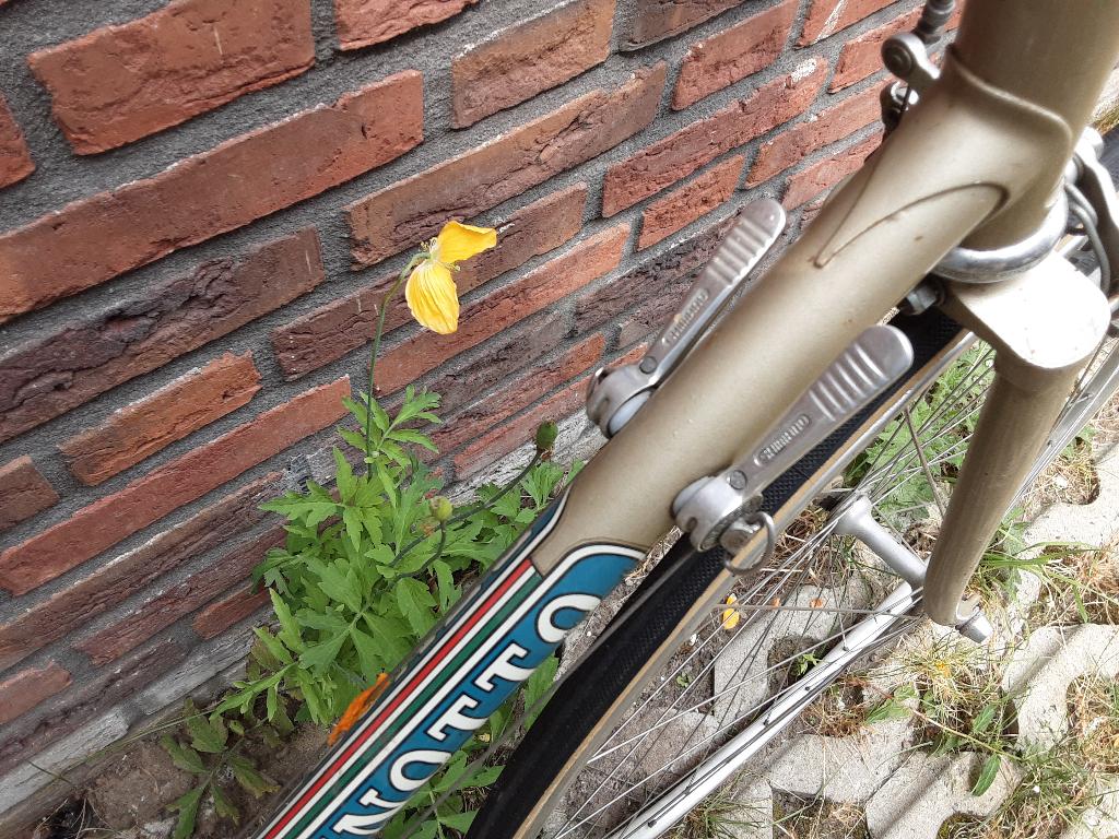 Benotto racefiets, Fietsen en Brommers, 28 inch, Gebruikt, Staal, 15 tot 20 versnellingen