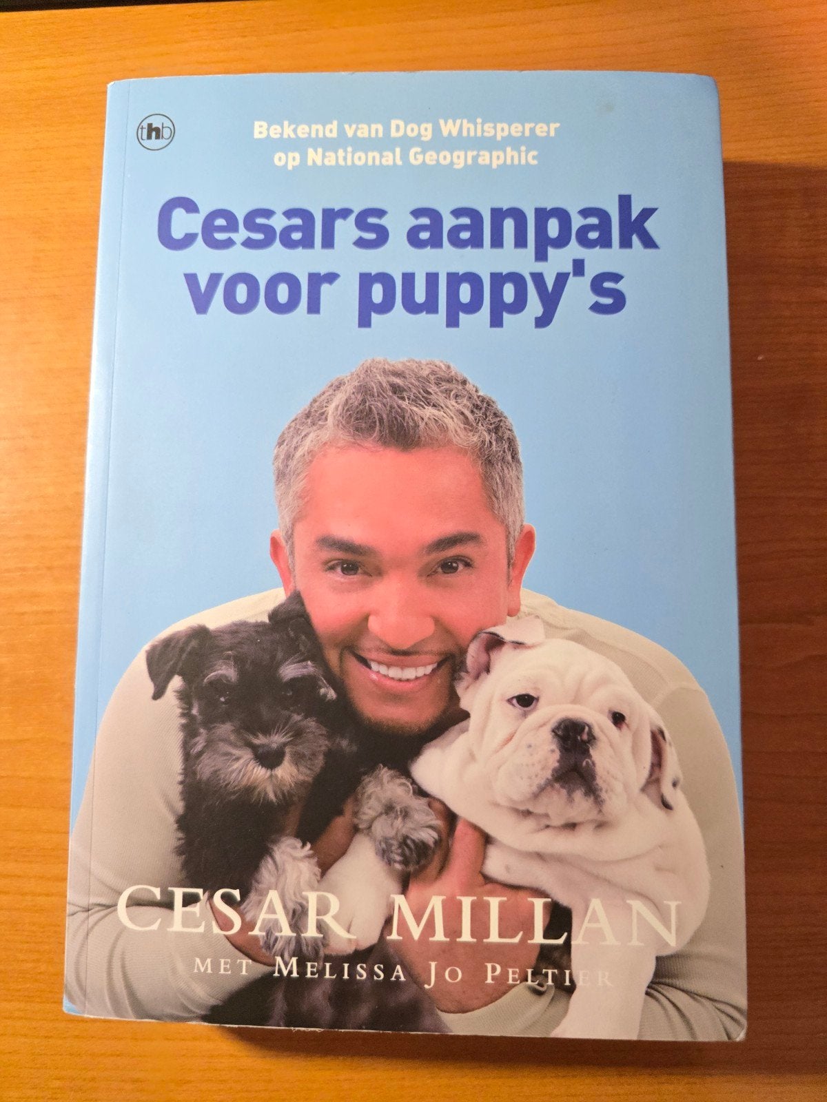 Cesars aanpak voor puppy's - Cesar Millan, Ophalen of Verzenden, Gelezen, Honden, Cesar Millan