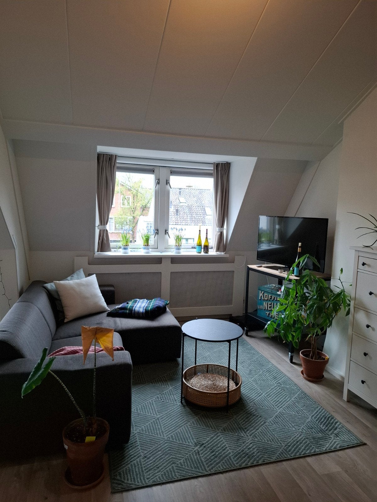 Ikea grijs vloerkleed 'stenlille' 170x240cm, Ophalen, Gebruikt, 150 tot 200 cm, 200 cm of meer