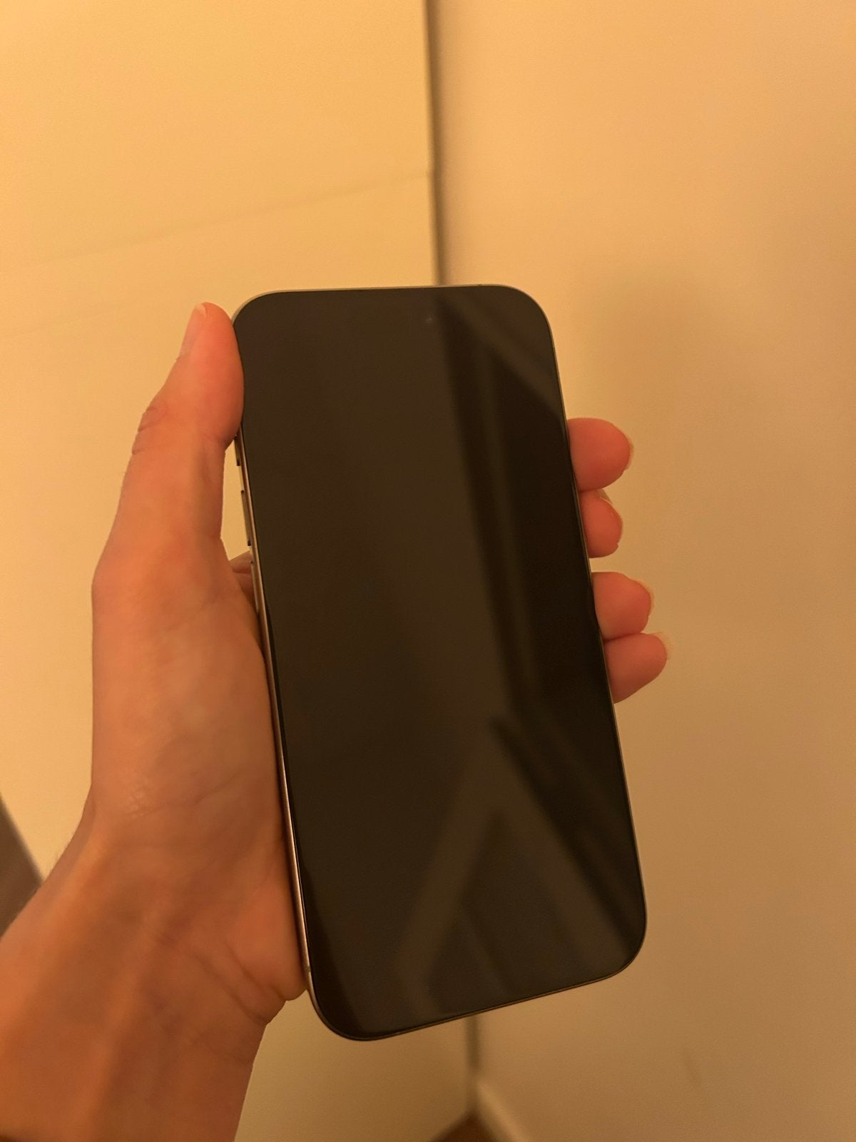 Foto 9 van iPhone 15 Pro 256GB - Zo goed als nieuw
