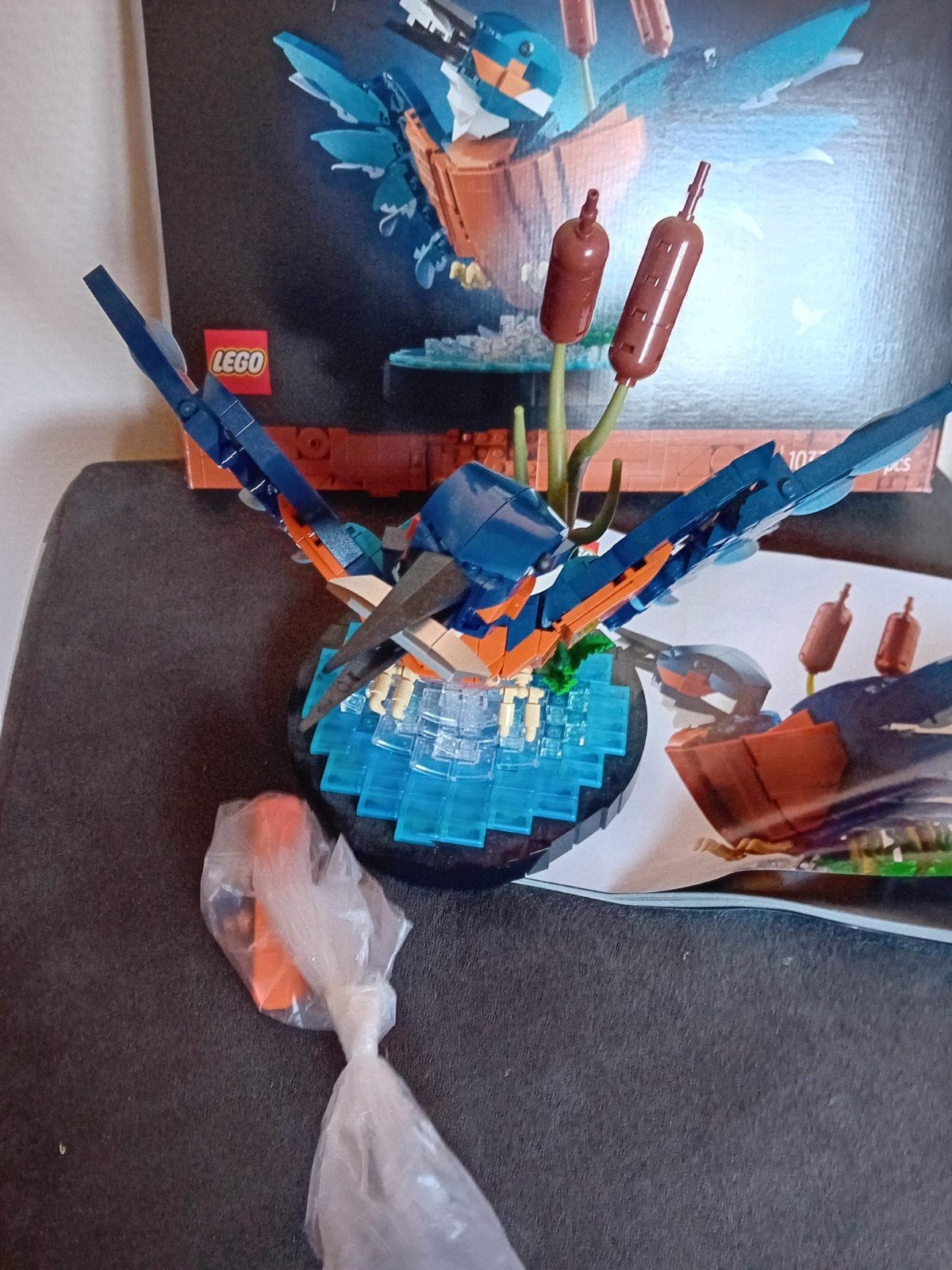 lego kingfisher ijsvogel, Ophalen