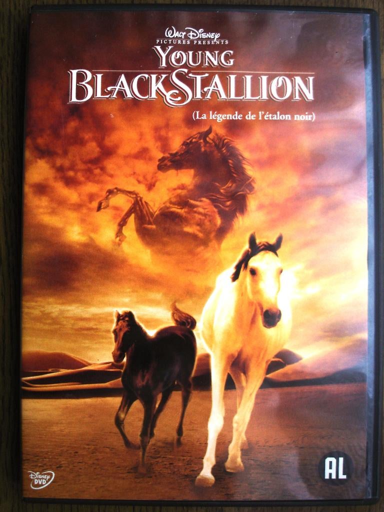 Young Black stallion Walt Disney KRASVRIJE DVD, Alle leeftijden, Ophalen of Verzenden, Zo goed als nieuw