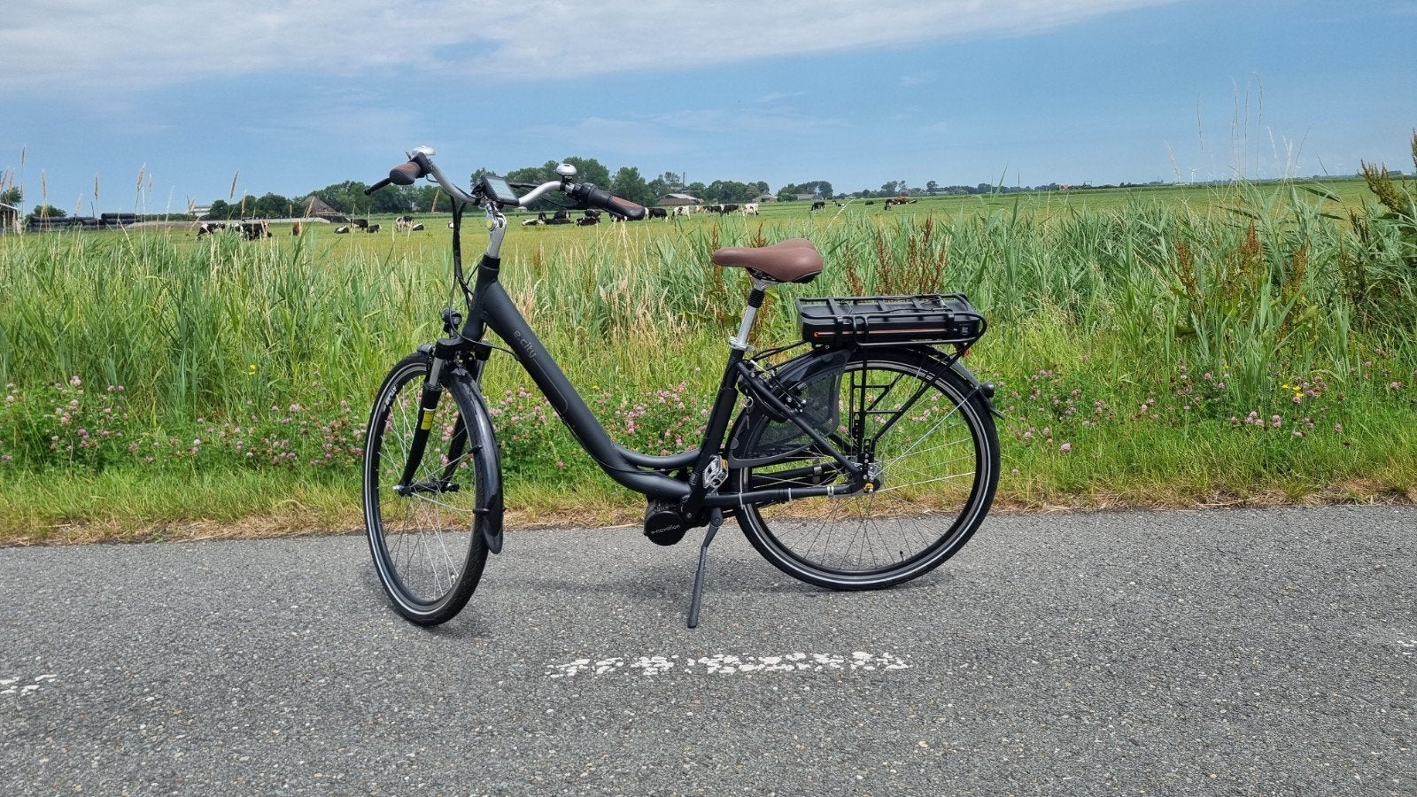 Prachtige elektrische fiets! - Zo goed als nieuw -, Fietsen en Brommers, Elektrische fietsen, Zo goed als nieuw, 51 tot 55 cm