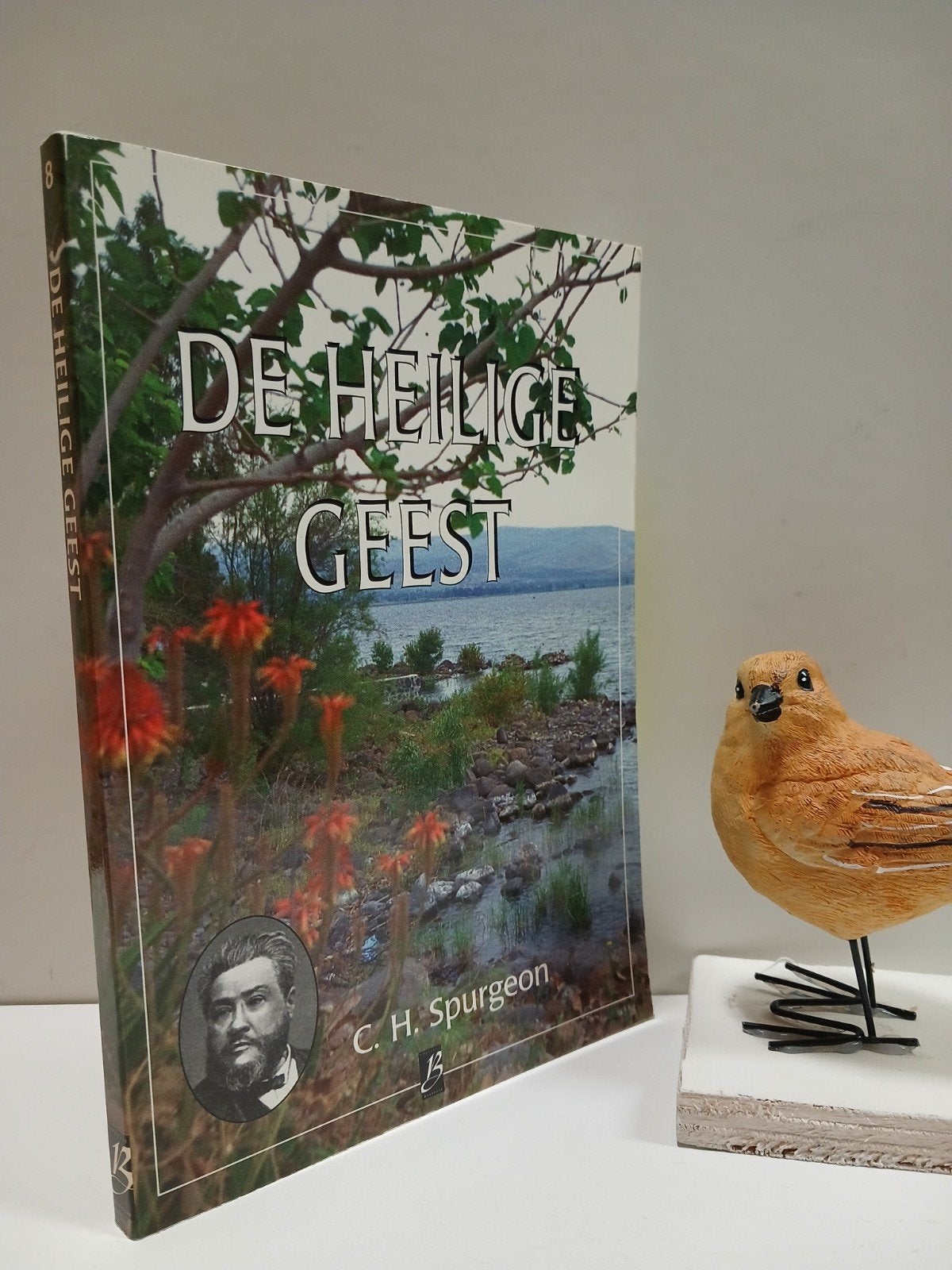 Spurgeon, C.H.; De Heilige Geest (nr 8 Boekhout, Ophalen of Verzenden, Gelezen, Christendom | Protestants